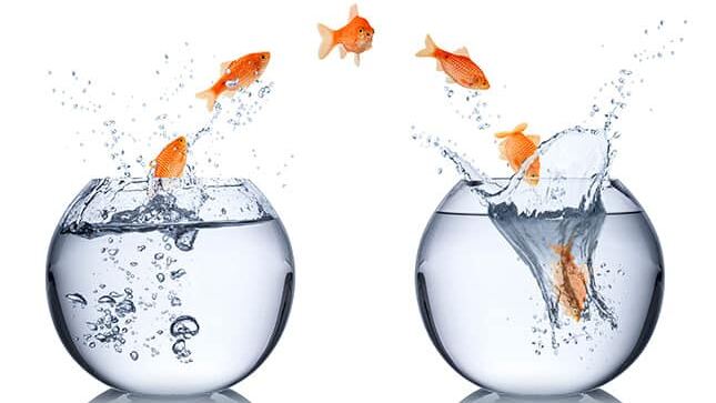 Comment s&rsquo;adapter facilement aux changements au travail ?